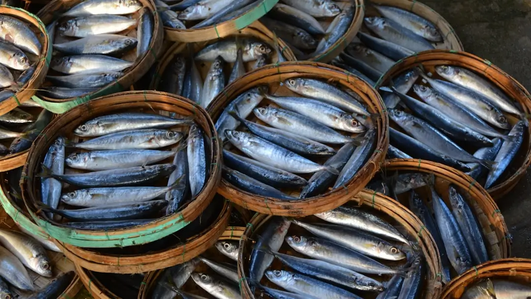 sardines-de-la-cote.webp