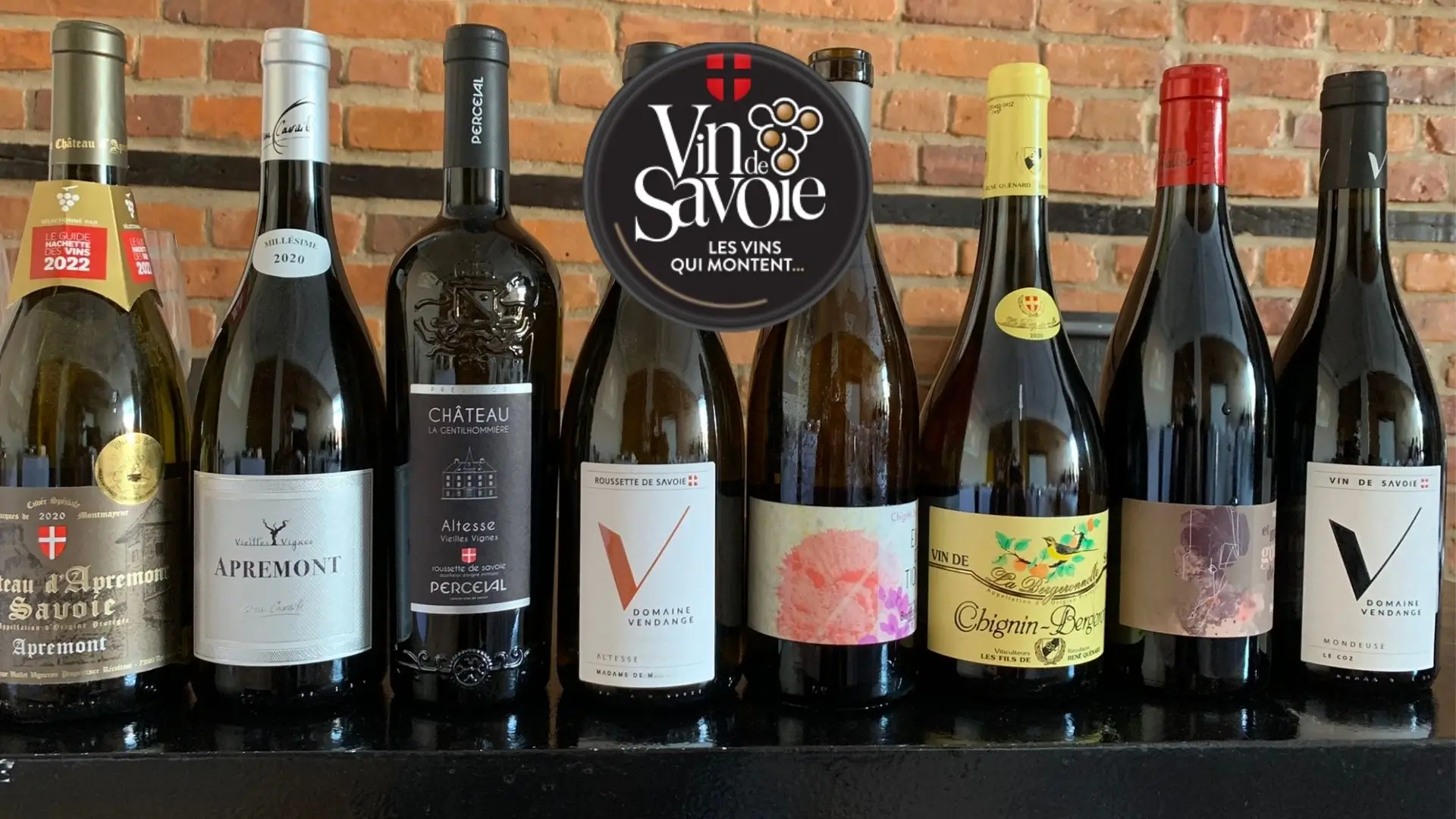 À la découverte des vins de Savoie.webp